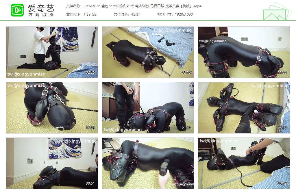 【鹿角与猫爪】 全包Zentai伪娘爪爪 k9犬电击 马具口球皮革头套_缚乐绳艺